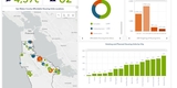 DOH Dashboard